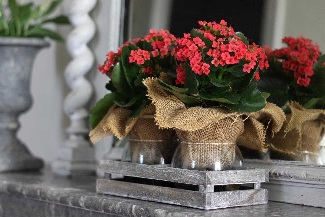 Vintage Vert Lahitte-Toupiere Ngoại thất bức ảnh